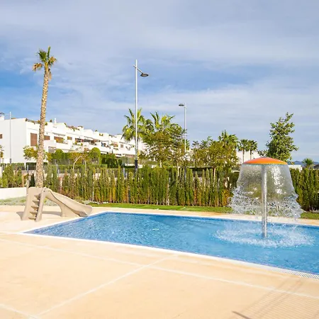 Tortuga Marina San Juan De Los Terreros