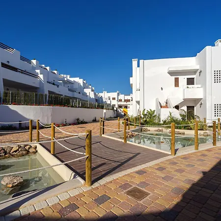 Tortuga Marina San Juan De Los Terreros