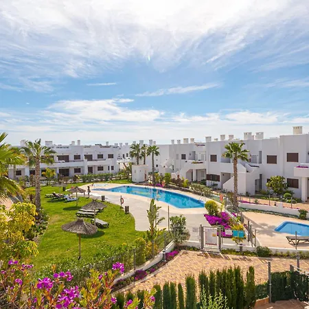 Tortuga Marina San Juan De Los Terreros